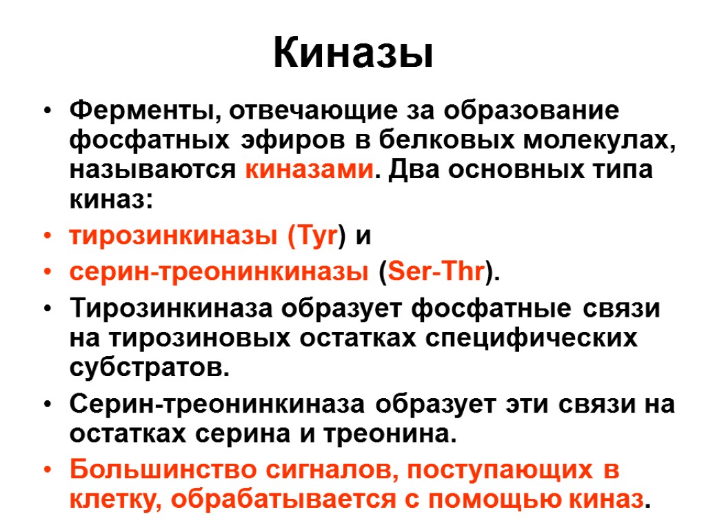 Киназы Ферменты, отвечающие за образование фосфатных эфиров в белковых молекулах, называются киназами. Два основных